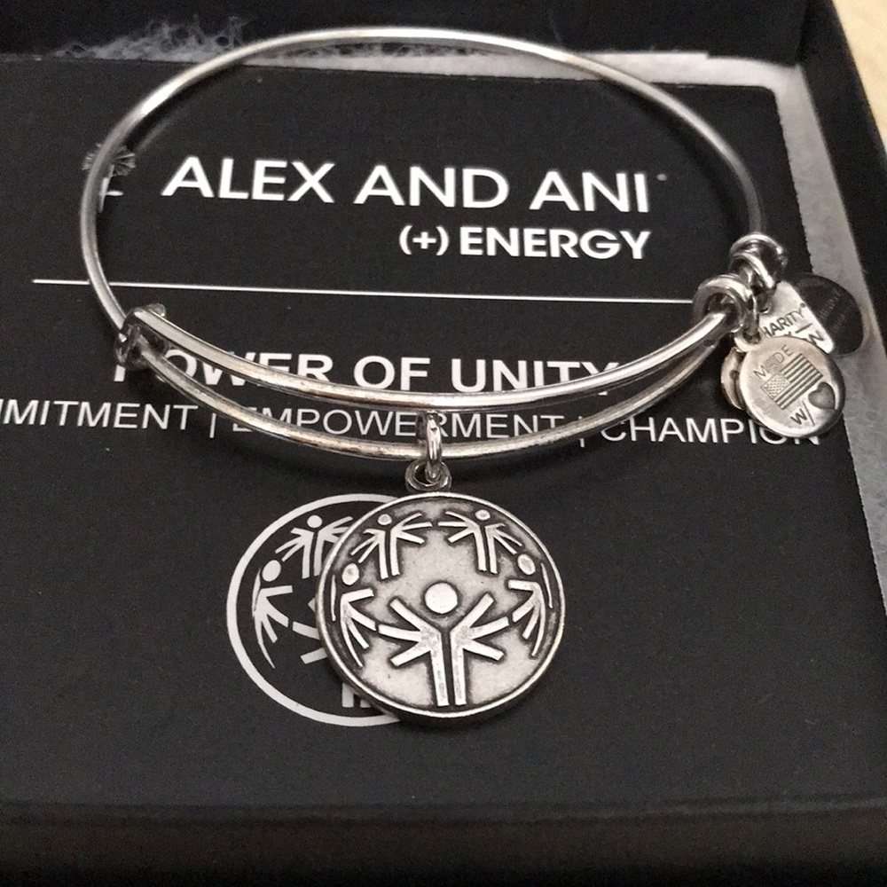 Alex and Ani Power of Unity charm bangle bracelet